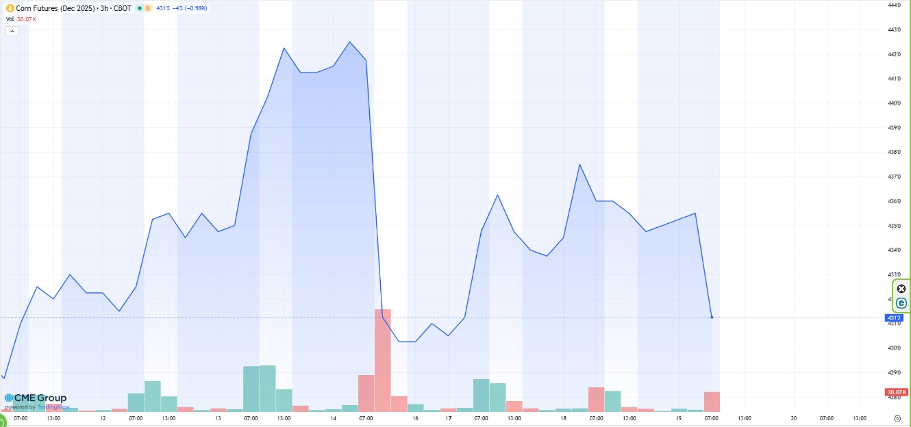 Evolución semanal del precio del maíz en Chicago.