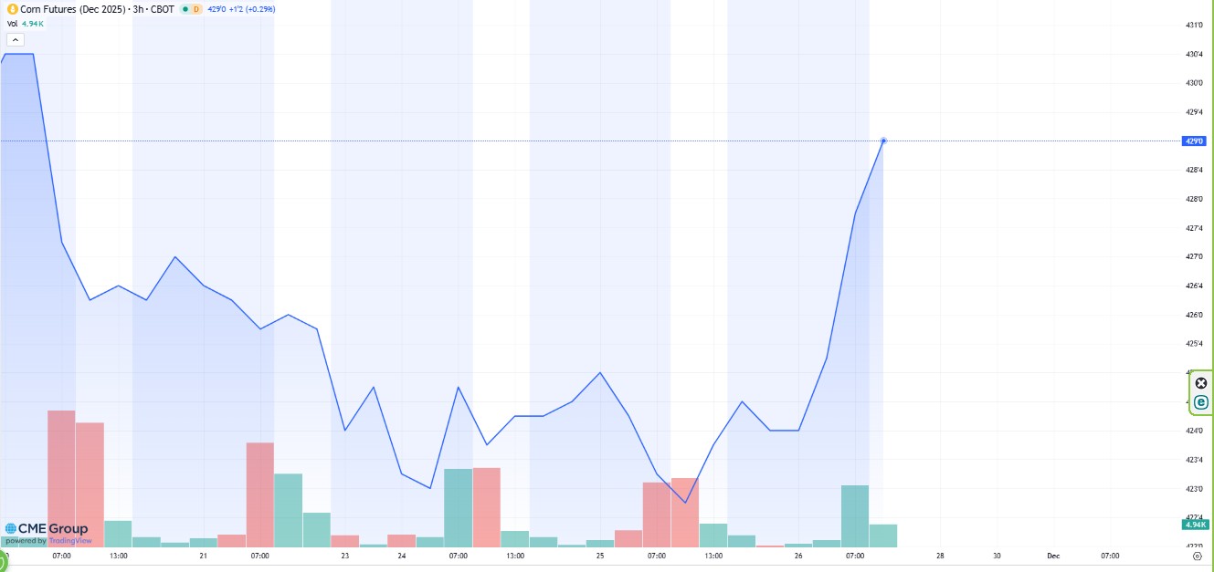 Evolución semanal del maíz en el mercado de Chicago.